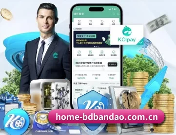home-bdbandao.com.cn APP